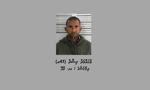 ގދ. އަތޮޅަށް މަސްތުވާތަކެތި އެތެރެކުރަން އުޅުނު މީހަކު ހައްޔަރުކޮށް 90 ދުވަހަށް ބަންދުކޮށްފި